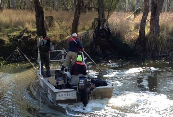 Glenelg River ecosystem monitoring