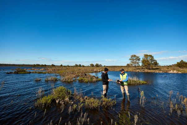 Two men standing in creek at Glenelg Hopkins