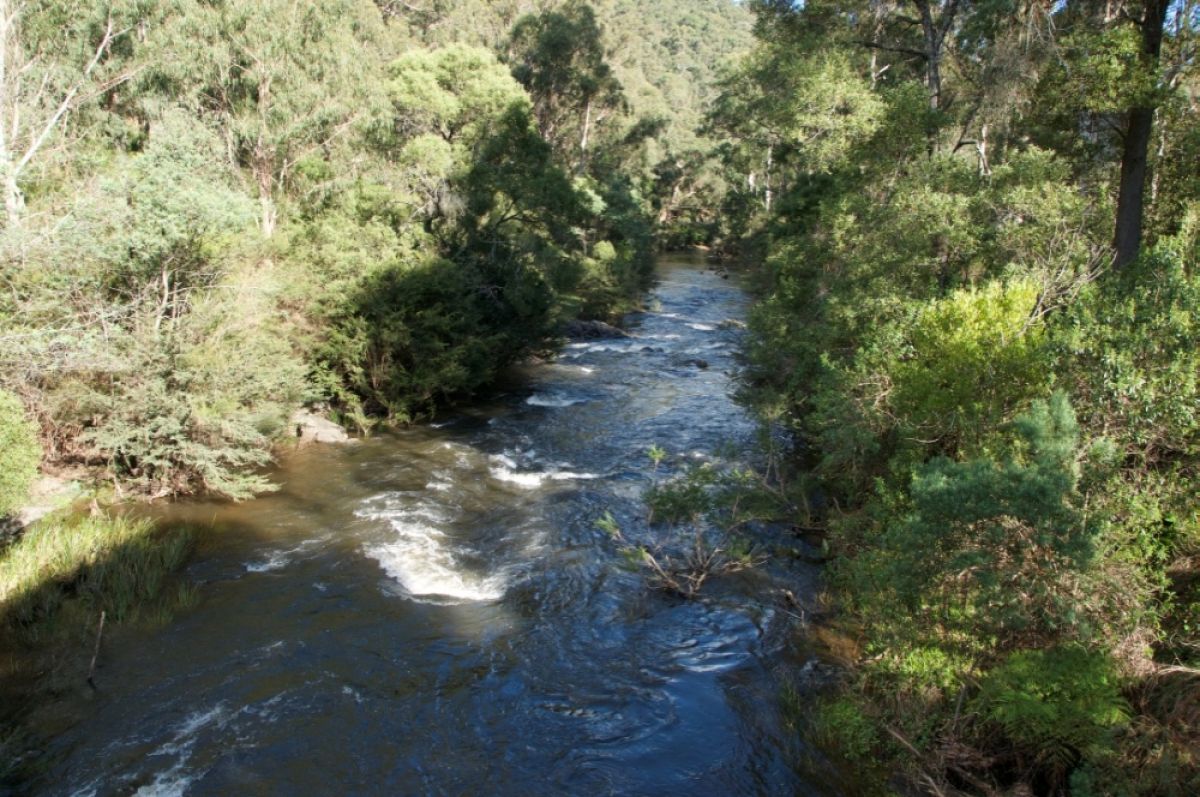 Yarra River Warburton from an overhead view