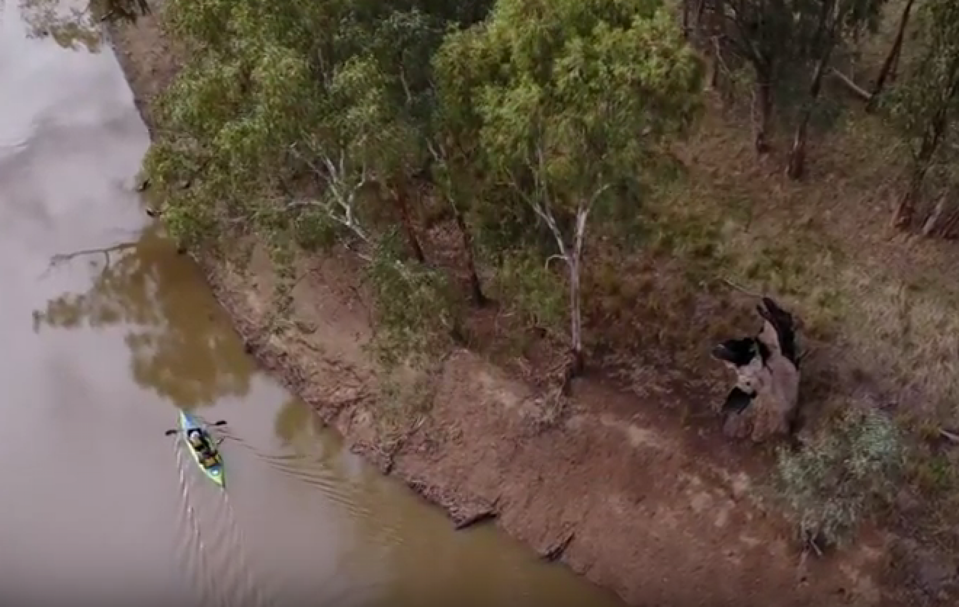 A canoe travelling down a river along a riverbank