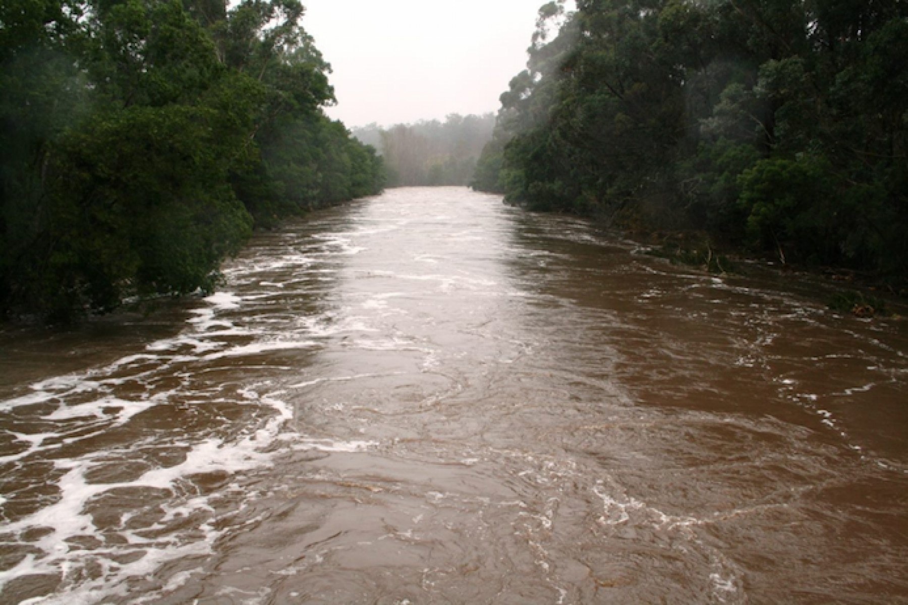 A photo of banks overflowed at Caan River, Australia.