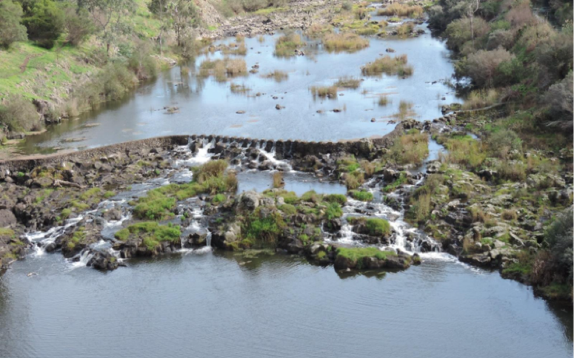 A picture of a river that has a rock wall across it, with vegetation in the river and on the banks