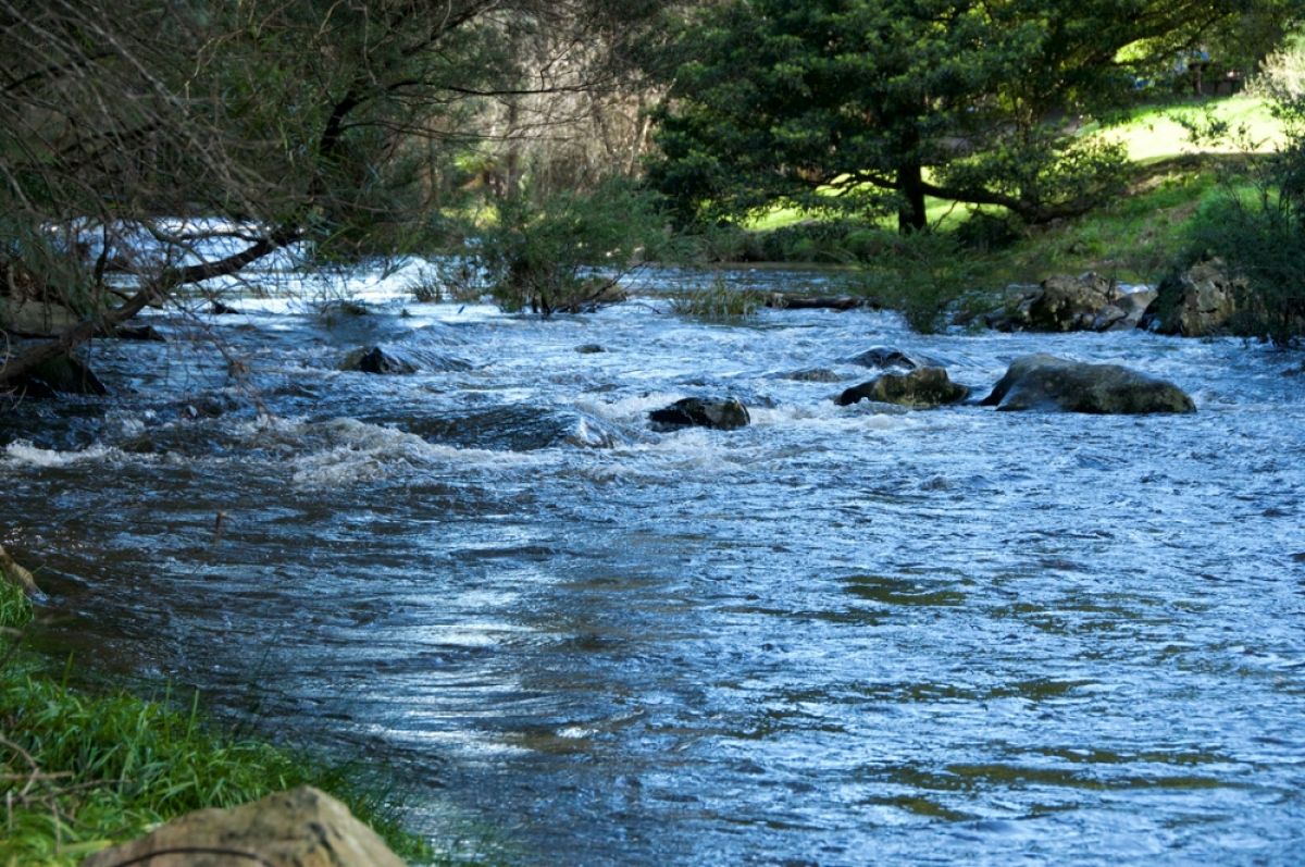 Yarra River Warburton with water cascading over rocks