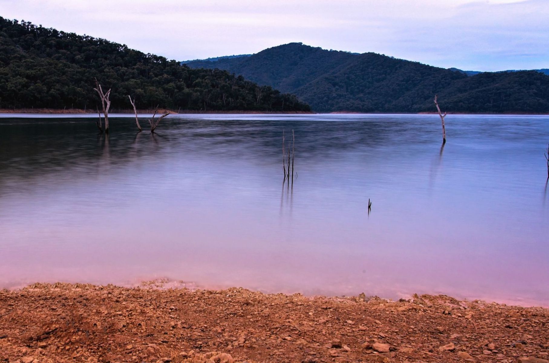 Lake Eildon at sunset with hills in the background and dead trees sticking out of the water
