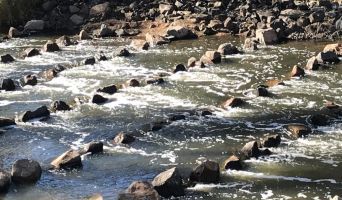 Rows of rocks positioned across a river to allow safe passage for fish.