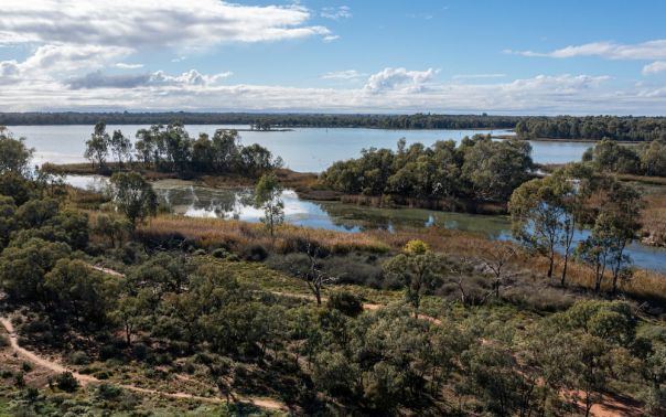 Kings Billabong borders a wide stretch of the Murray River and is home to wetlands of international significance. 