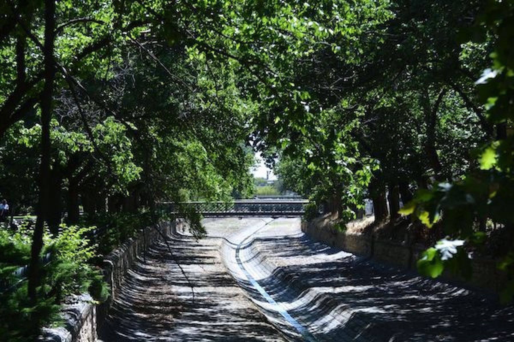 A channelised creek with a canopy of trees overhead on a sunny day