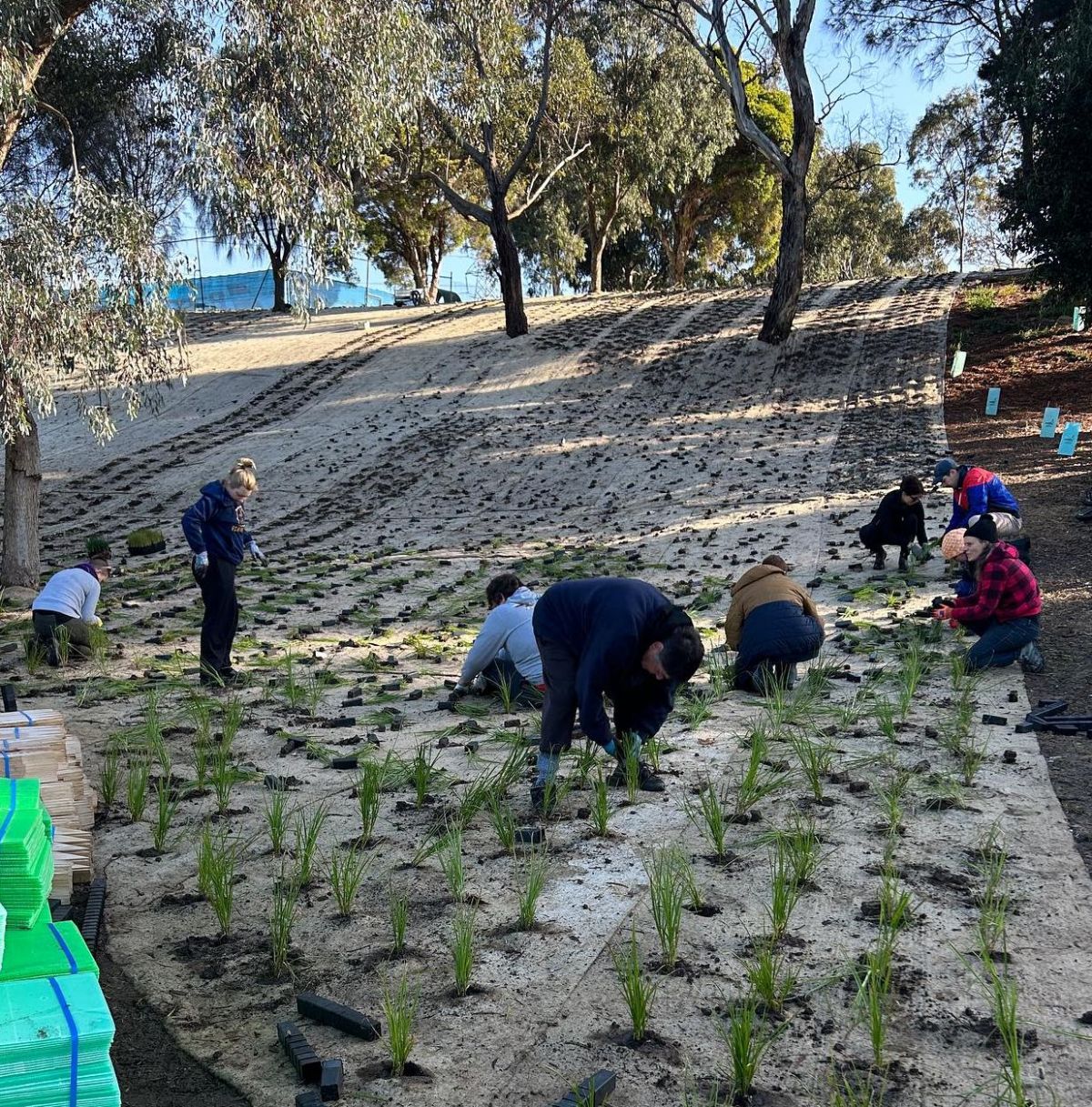 Friends of edwards lake planting in 2024