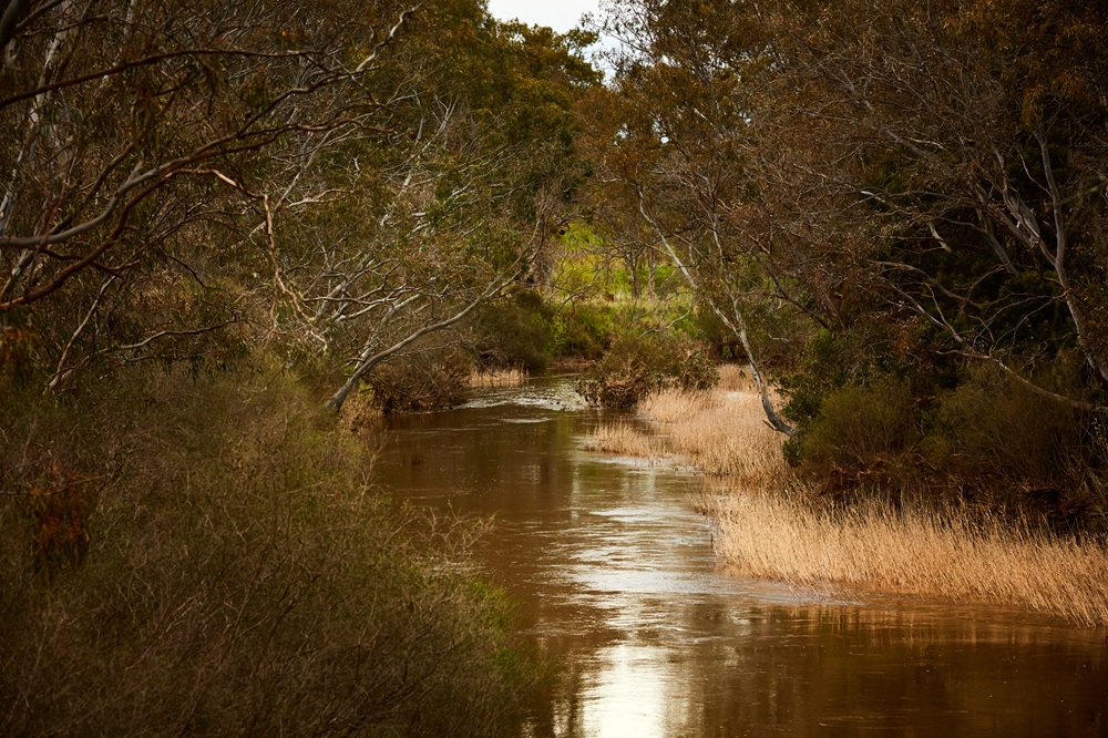 The Glenelg River near Casterton, Victoria.  