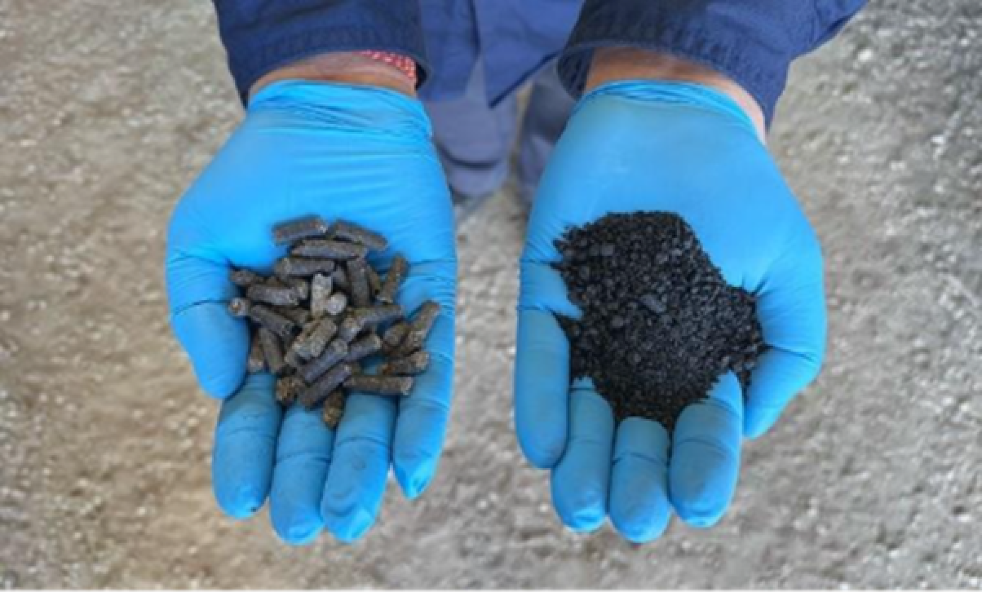 Two hands in blue gloves holding biochar