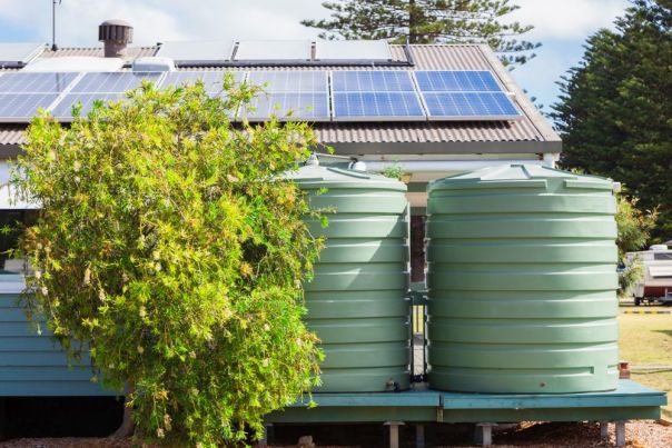 A rainwater tank in a garden