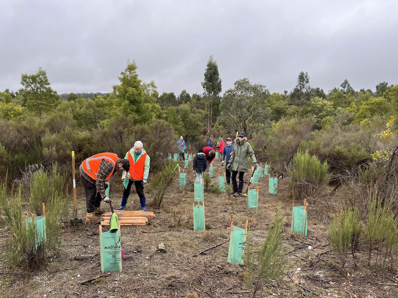 Planting works being undertaken as part of the Urban Ripple Project  