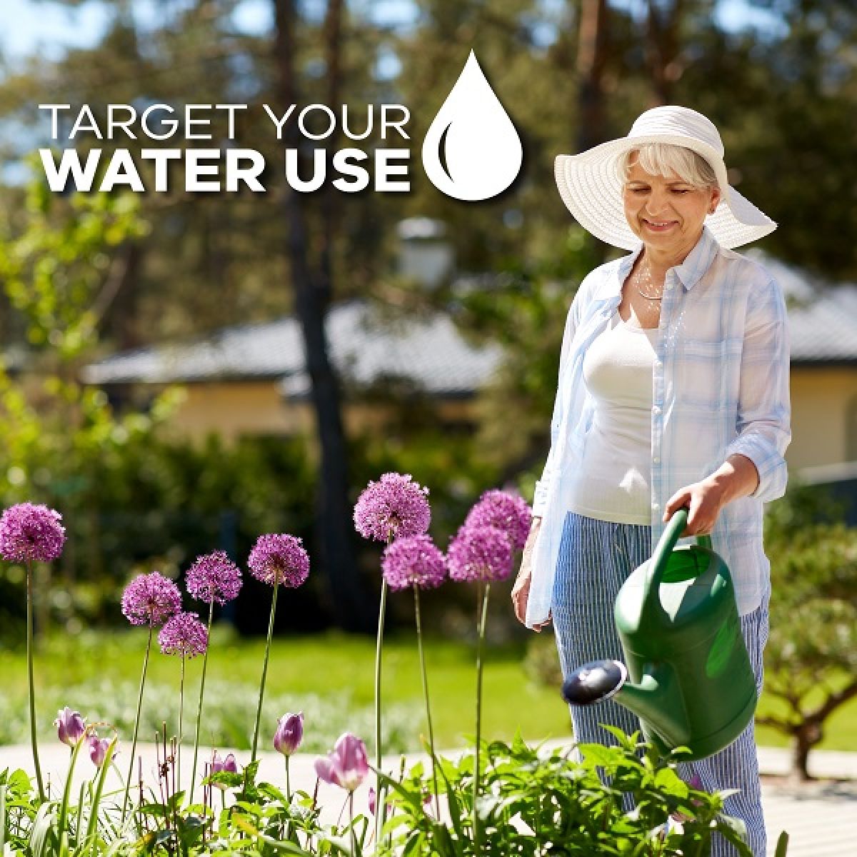A woman watering her garden with a green watercan. She is watering purple agapanthus.