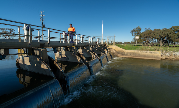 A person walking across irrigation infrastructure.  