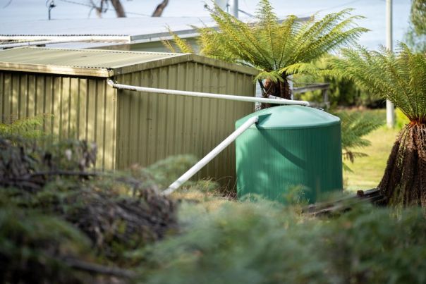 Rainwater tank and a shed in a back garden