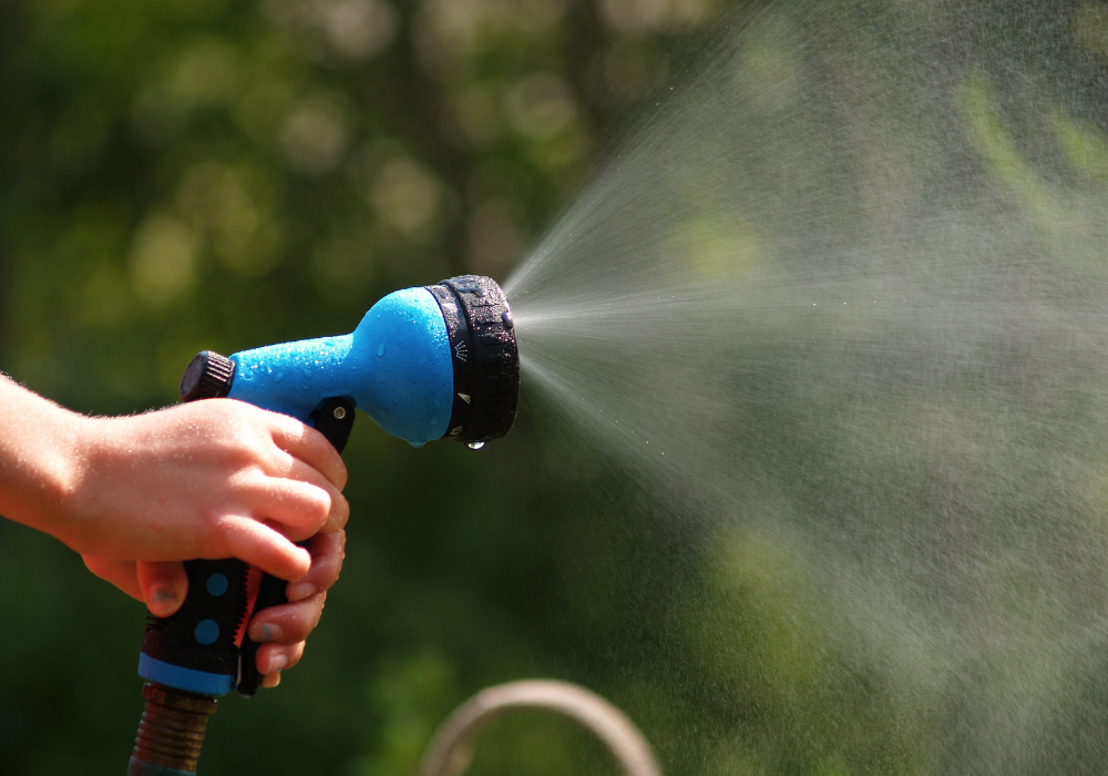 A hose with a trigger nozzle.