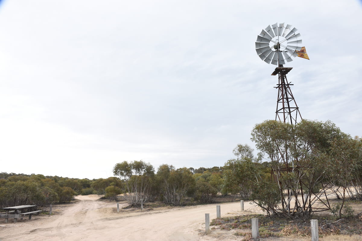 Windmill at Big Billy Bore, a large campsite located within the Big Desert State Forest.