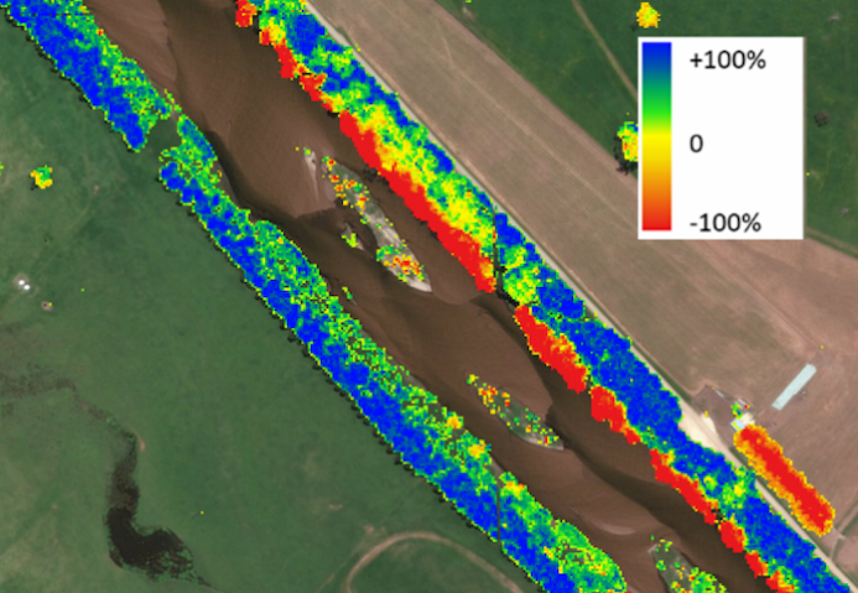 A graphic using Lidar to show changes in tree canopy along the Snowy River in East Gippsland.