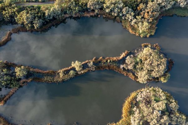 river from above showing oxbows