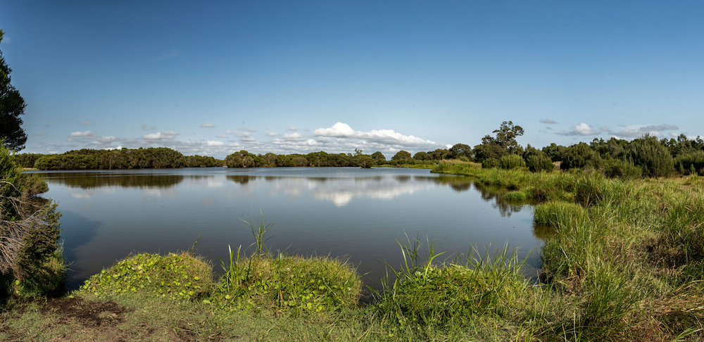 Heart Morass in the Gippsland Lakes  