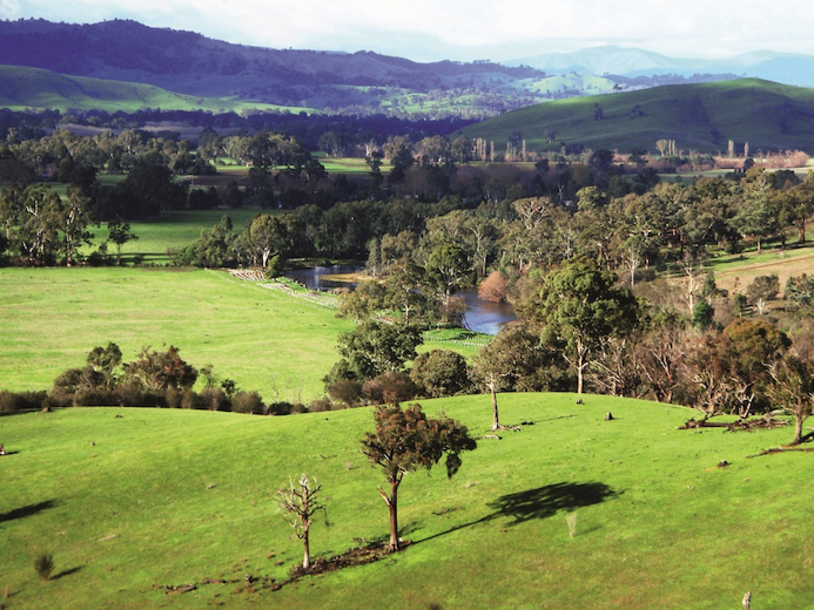 Riparian land plays a unique role in the landscape. It provides habitat and supports diverse communities of plants and animals. It filters water, reduces erosion and supports productivity of the surrounding landscape