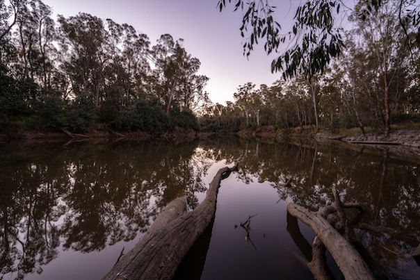 Goulburn River view