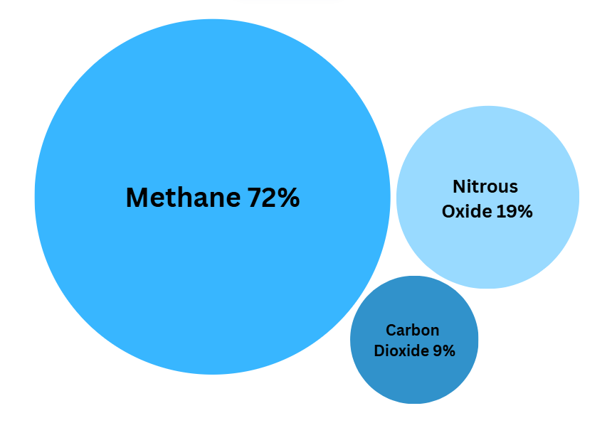 Methane makes up 72% of the water sectors greenhouse gas emissions, nitrous oxide makes up 19% and carbon dioxide makes up 9%. These figures are derived from 2024-25 financial year data.