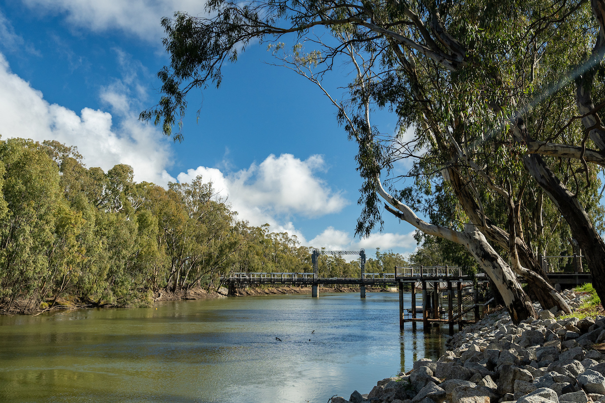 Murray river 