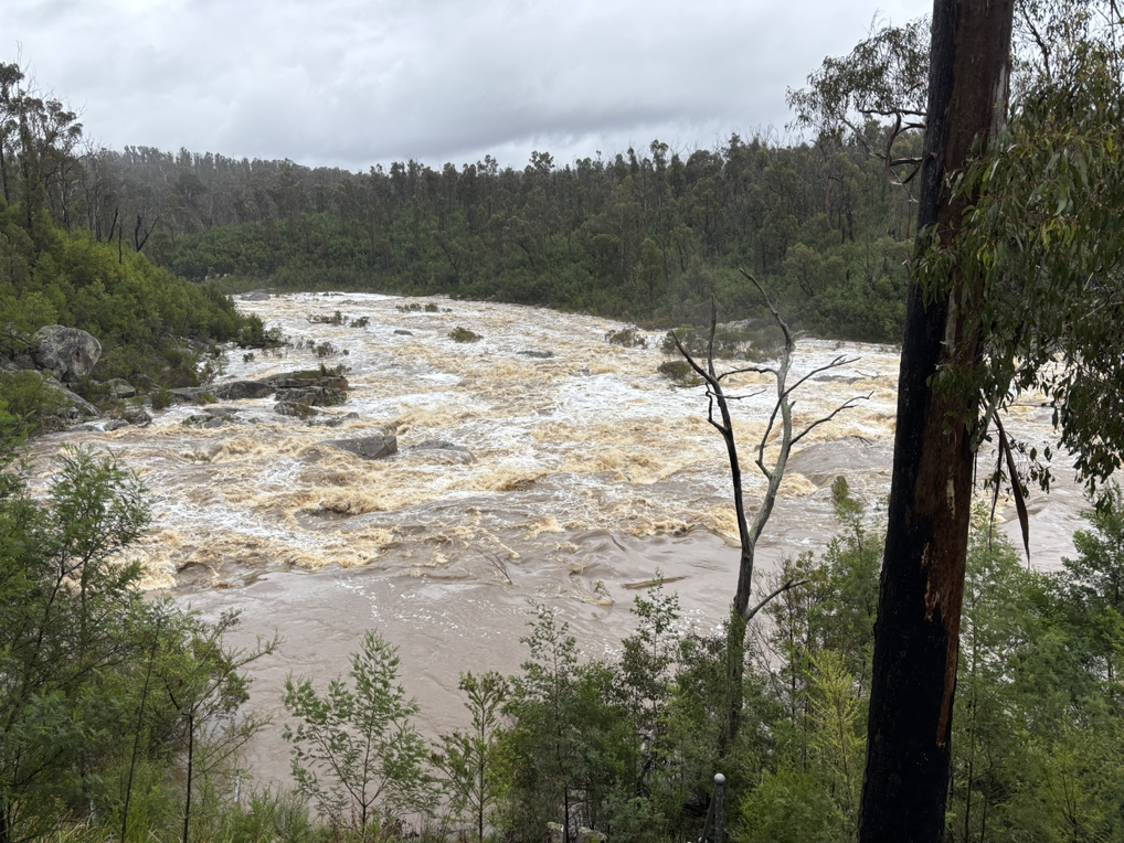 Flood gauging at 225218 Freestone Creek at Briagalong in July 2025.  
