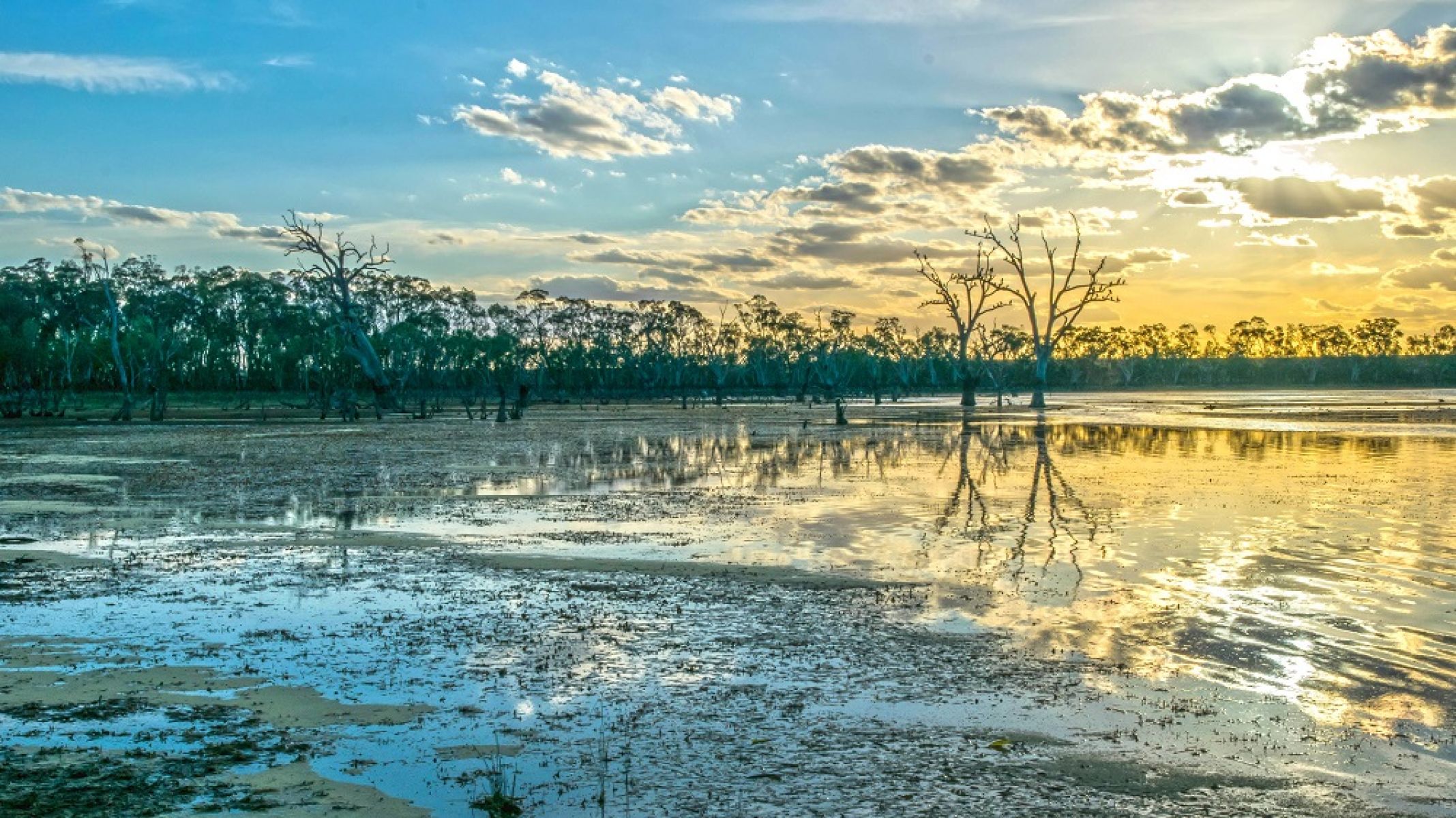 Green Lake in Victoria. Blue clouds with the sun rising on the horizon, trees in the background and wter in the foreground