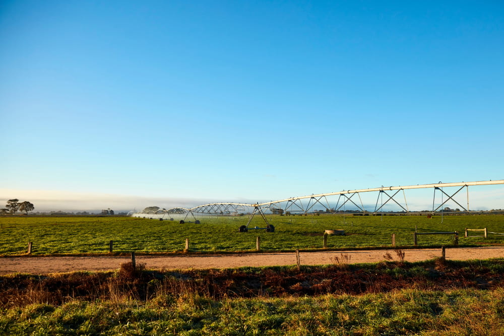 Farmland with crops and irrigation 