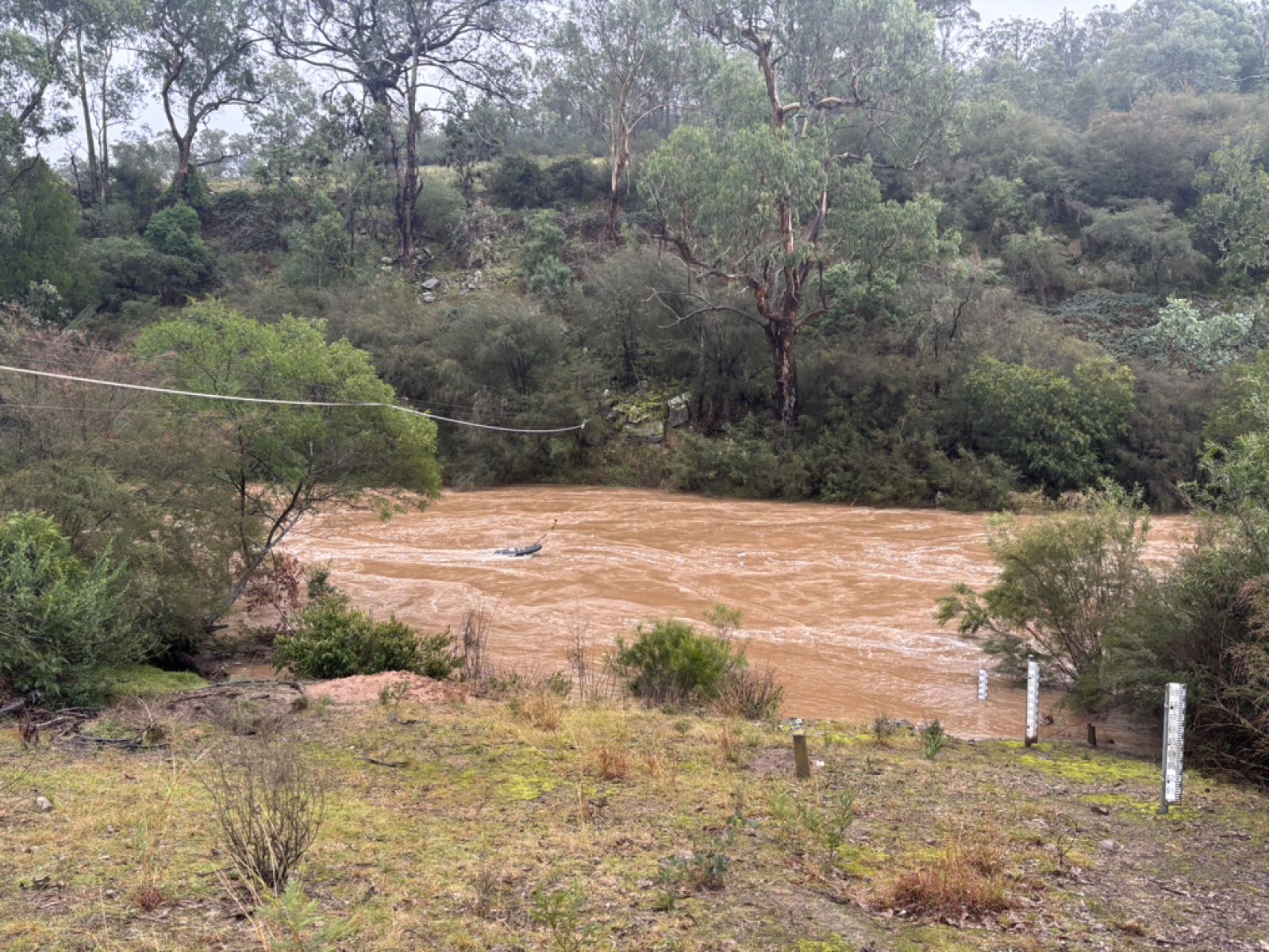 Flood gauging at 221210 Genoa River at the Gorge in July 2025.