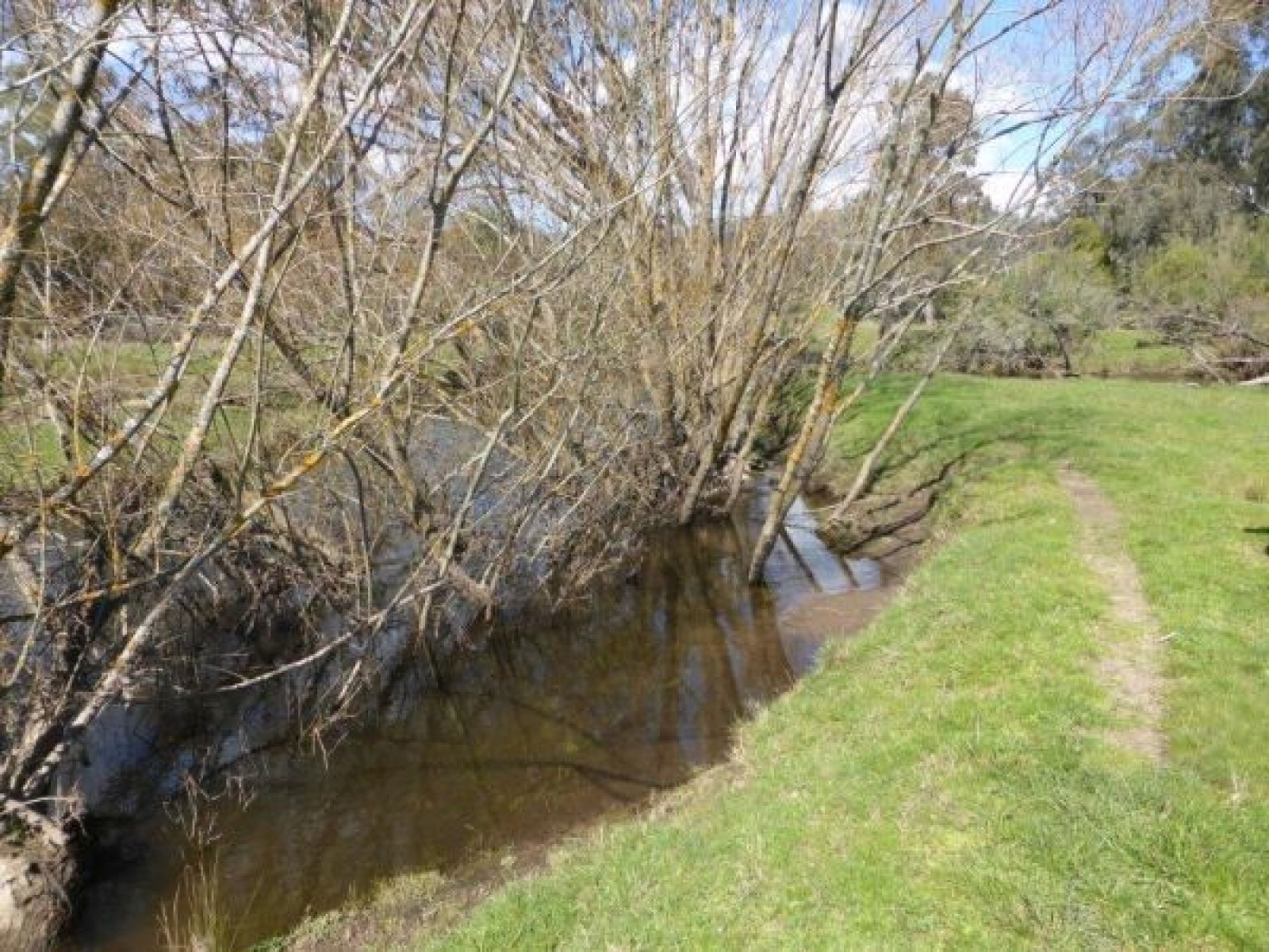 Alternative text: Rubicon River in Thornton, showing the river widening out behind the willows.