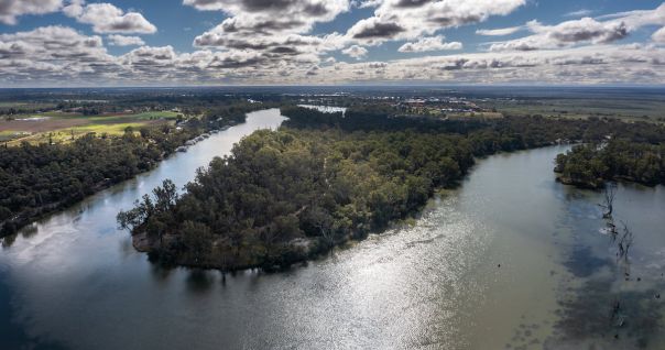 Kings Billabong Wildlife Reserve near Mildura in northern Victoria. Kings Billabong borders a wide stretch of the Murray River and is home to wetlands of international significance. 