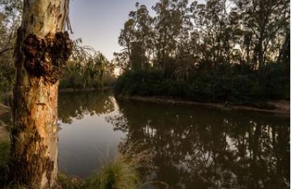Murray-Darling Basin  