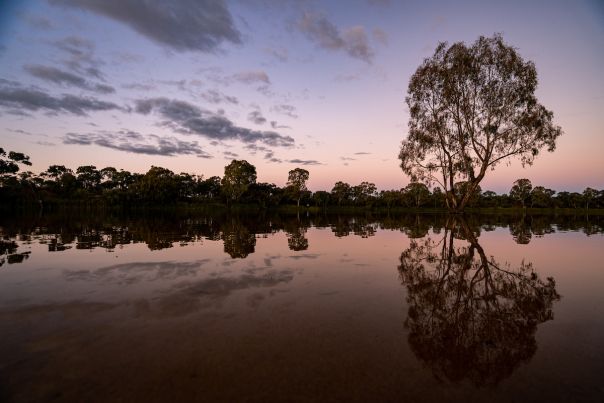 Image showing a river from above at sunset