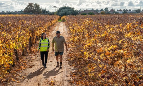 Customer speaking with a water corp worker in a field