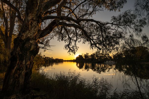 Image of the Murray in late afternoon