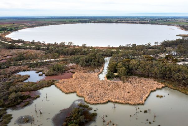 A view from above of a lake with a stream flowing from it