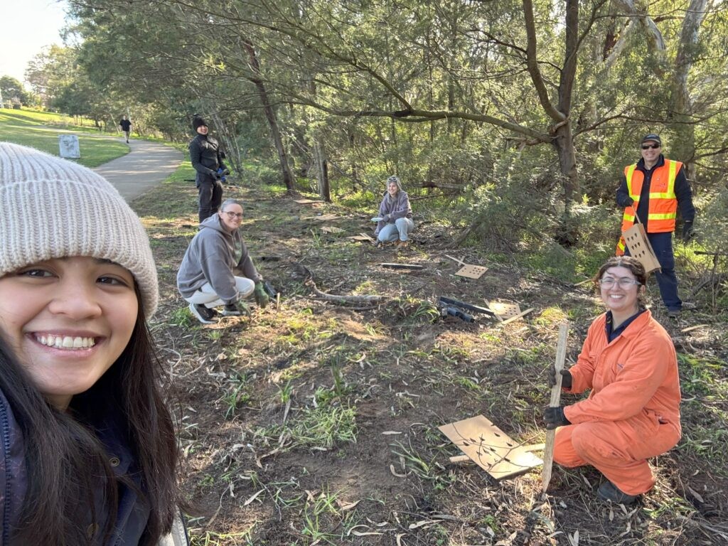 A small group of people planting plants in a shady area beside a path and trees.