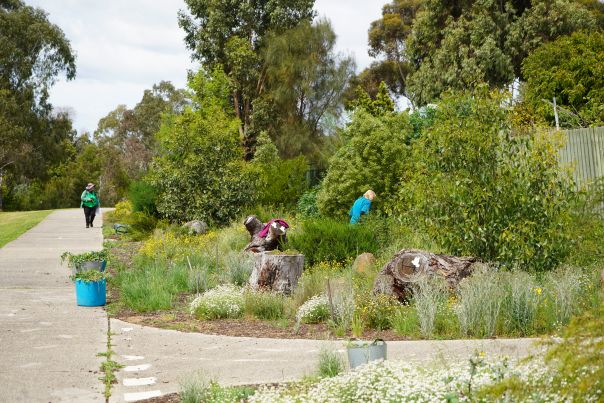 A lush, green area with lots of plants next to a walking path. There are several people working among the plants.